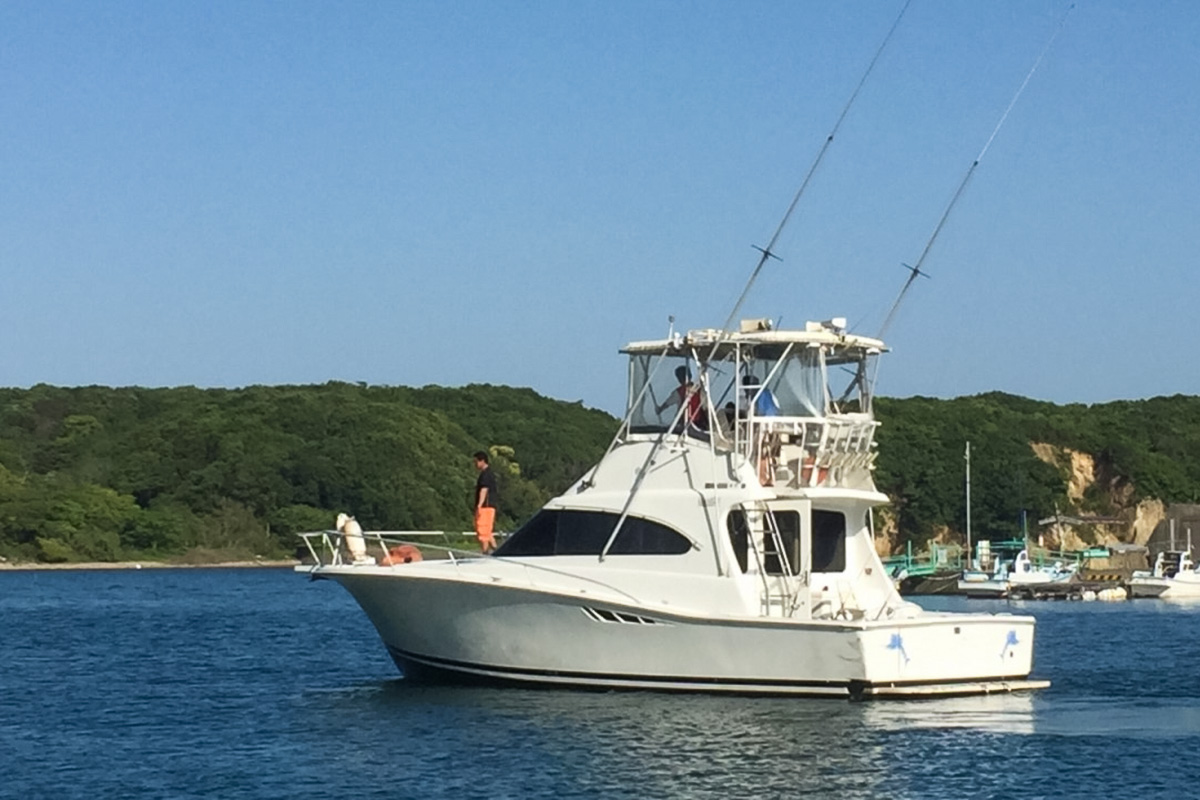 名古屋丸の内 東新町 日間賀島直送 ふぐ たこ 魚 海鮮料理の晴快荘 せいかいそう 名古屋丸の内 東新町 日間賀島直送 ふぐ たこ 魚 海鮮料理の晴快荘 せいかいそう